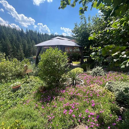 Guest House Milka Yagodina Exterior photo