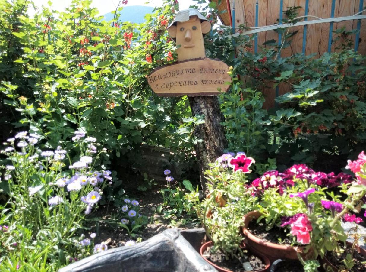 Guest House Milka Yagodina Exterior photo